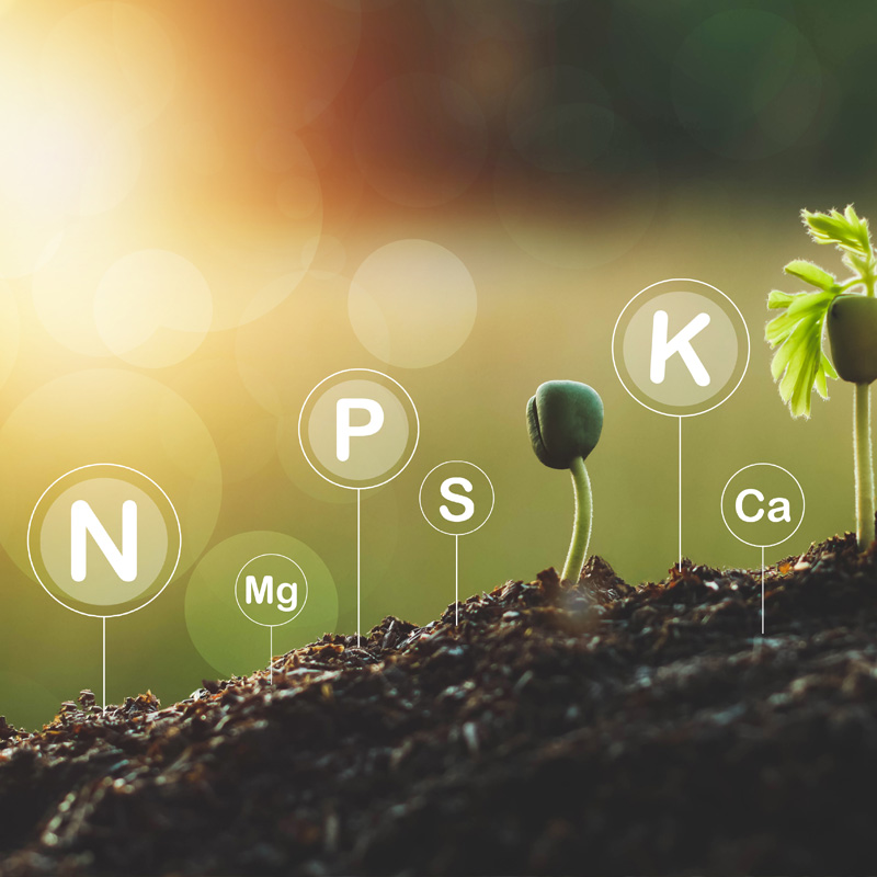 soil_water